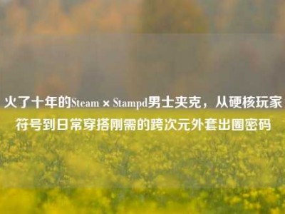 火了十年的Steam×Stampd男士夹克，从硬核玩家符号到日常穿搭刚需的跨次元外套出圈密码