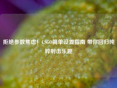 拒绝参数焦虑！CSGO简单设置指南 带你回归纯粹射击乐趣