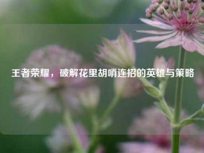 王者荣耀，破解花里胡哨连招的英雄与策略