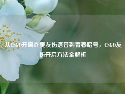 从CSGO开局炸麦友伤语音到青春暗号，CSGO友伤开启方法全解析