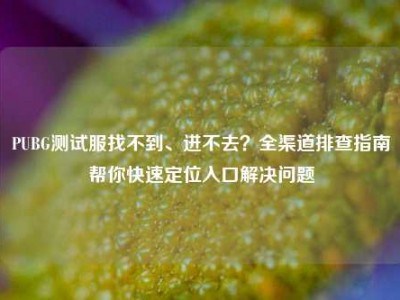 PUBG测试服找不到、进不去？全渠道排查指南帮你快速定位入口解决问题