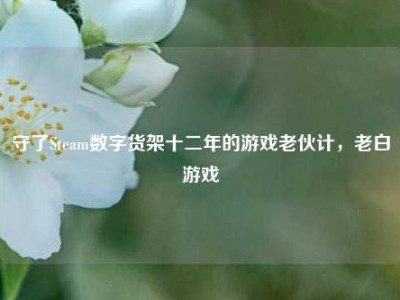 守了Steam数字货架十二年的游戏老伙计，老白游戏