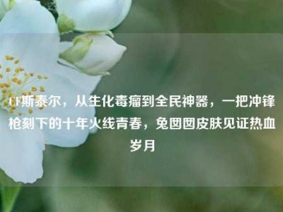 CF斯泰尔，从生化毒瘤到全民神器，一把冲锋枪刻下的十年火线青春，兔囡囡皮肤见证热血岁月