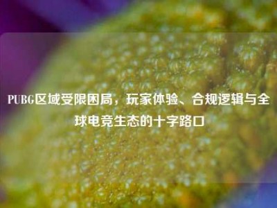 PUBG区域受限困局，玩家体验、合规逻辑与全球电竞生态的十字路口