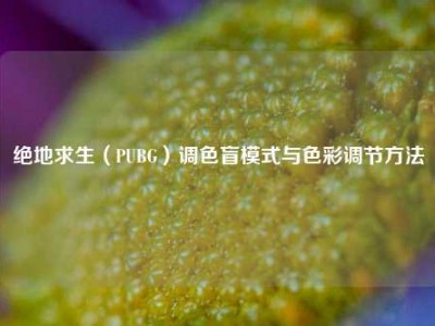 绝地求生（PUBG）调色盲模式与色彩调节方法
