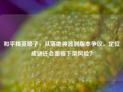 和平精英喷子，从落地神器到版本争议，定位成谜还会面临下架风险？