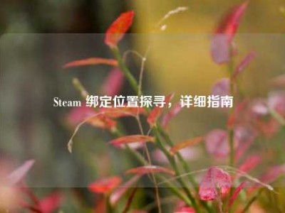 Steam 绑定位置探寻，详细指南