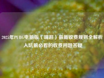 2025年PUBG电脑版（端游）最新收费规则全解析 入坑前必看的收费问题答疑