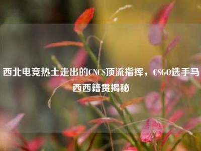 西北电竞热土走出的CNCS顶流指挥，CSGO选手马西西籍贯揭秘