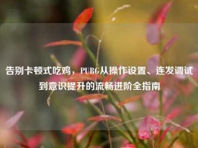 告别卡顿式吃鸡，PUBG从操作设置、连发调试到意识提升的流畅进阶全指南