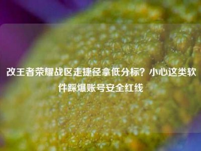 改王者荣耀战区走捷径拿低分标？小心这类软件踩爆账号安全红线