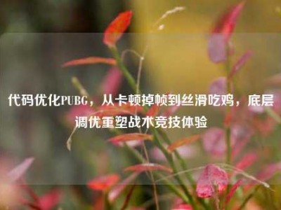 代码优化PUBG，从卡顿掉帧到丝滑吃鸡，底层调优重塑战术竞技体验
