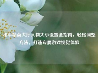 和平精英大厅人物大小设置全指南，轻松调整方法，打造专属游戏视觉体验