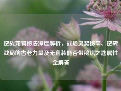 逆战宠物秘法深度解析，战场灵契秘辛、逆转战局的古老力量及无套装能否带秘法之匙属性全解答