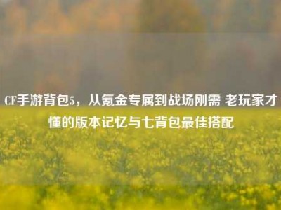 CF手游背包5，从氪金专属到战场刚需 老玩家才懂的版本记忆与七背包最佳搭配