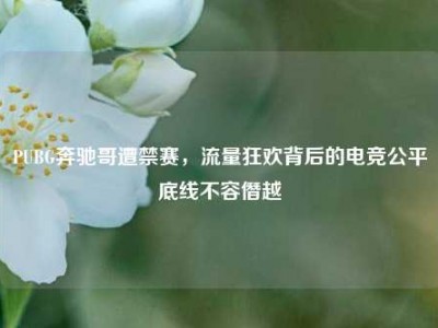 PUBG奔驰哥遭禁赛，流量狂欢背后的电竞公平底线不容僭越