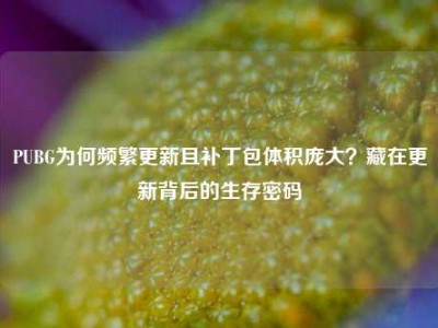 PUBG为何频繁更新且补丁包体积庞大？藏在更新背后的生存密码