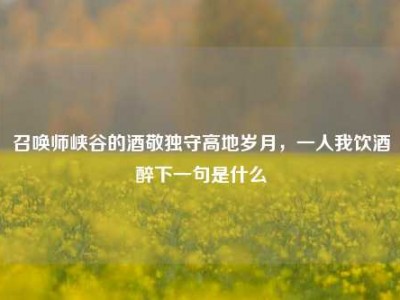召唤师峡谷的酒敬独守高地岁月，一人我饮酒醉下一句是什么