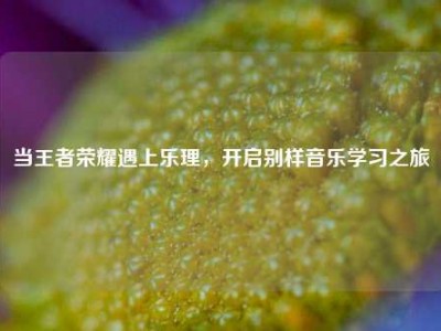 当王者荣耀遇上乐理，开启别样音乐学习之旅