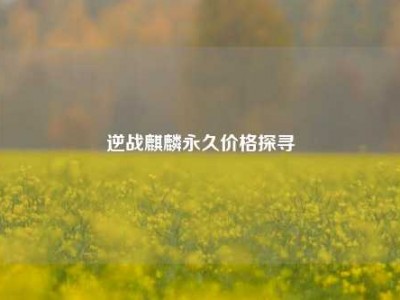 逆战麒麟永久价格探寻