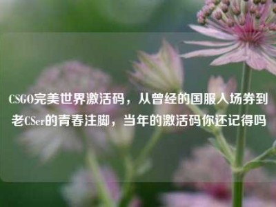 CSGO完美世界激活码，从曾经的国服入场券到老CSer的青春注脚，当年的激活码你还记得吗