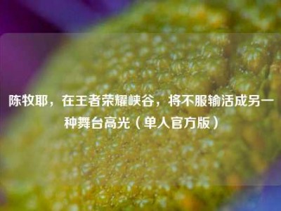 陈牧耶，在王者荣耀峡谷，将不服输活成另一种舞台高光（单人官方版）