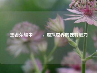 王者荣耀中婳祎，虚拟世界的独特魅力