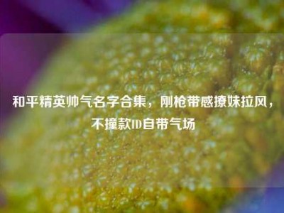 和平精英帅气名字合集，刚枪带感撩妹拉风，不撞款ID自带气场