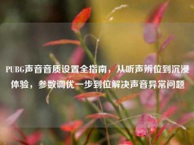 PUBG声音音质设置全指南，从听声辨位到沉浸体验，参数调优一步到位解决声音异常问题