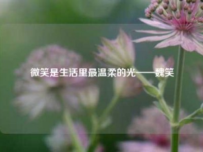 微笑是生活里最温柔的光——魏笑
