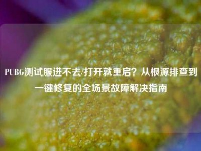 PUBG测试服进不去/打开就重启？从根源排查到一键修复的全场景故障解决指南