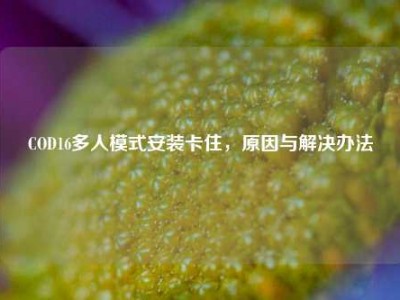 COD16多人模式安装卡住，原因与解决办法
