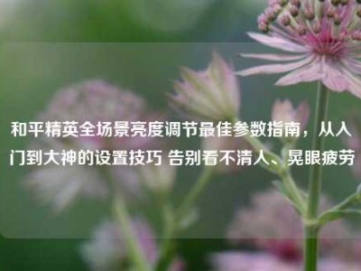和平精英全场景亮度调节最佳参数指南，从入门到大神的设置技巧 告别看不清人、晃眼疲劳