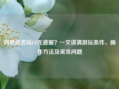 网吧能否玩CF先遣服？一文讲清游玩条件、操作方法及常见问题