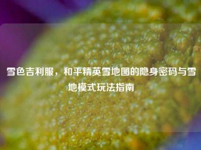 雪色吉利服，和平精英雪地图的隐身密码与雪地模式玩法指南