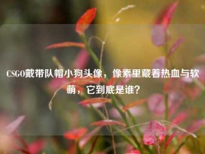 CSGO戴带队帽小狗头像，像素里藏着热血与软萌，它到底是谁？