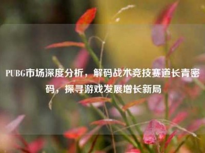 PUBG市场深度分析，解码战术竞技赛道长青密码，探寻游戏发展增长新局
