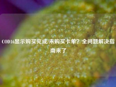 COD16显示购买完成/未购买卡单？全问题解决指南来了