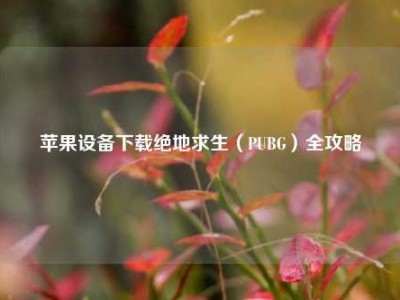 苹果设备下载绝地求生（PUBG）全攻略
