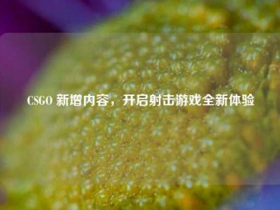 CSGO 新增内容，开启射击游戏全新体验