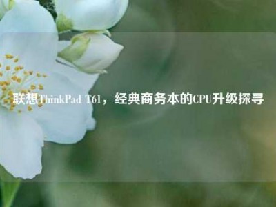 联想ThinkPad T61，经典商务本的CPU升级探寻