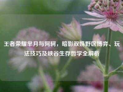 王者荣耀芈月与阿轲，暗影双姝野区博弈、玩法技巧及峡谷生存哲学全解析