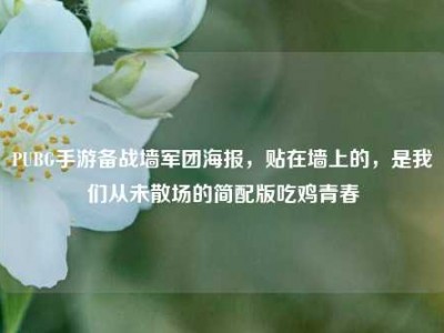 PUBG手游备战墙军团海报，贴在墙上的，是我们从未散场的简配版吃鸡青春
