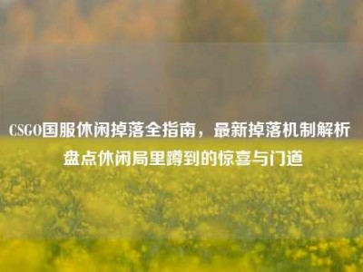 CSGO国服休闲掉落全指南，最新掉落机制解析 盘点休闲局里蹲到的惊喜与门道