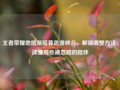 王者荣耀地图渐暗暮色漫峡谷，解锁调整方法，读懂那些被忽略的陪伴