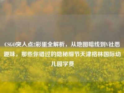 CSGO突入点2彩蛋全解析，从地图暗线到V社恶趣味，那些你错过的隐秘细节天津格林国际幼儿园学费