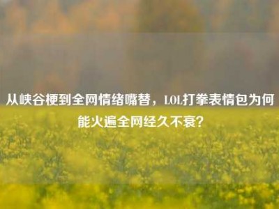 从峡谷梗到全网情绪嘴替，LOL打拳表情包为何能火遍全网经久不衰？