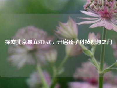 探索北京昂立STEAM，开启孩子科技创想之门