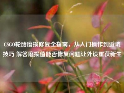 CSGO轮胎磨损修复全指南，从入门操作到避坑技巧 解答磨损值能否修复问题让外设重获新生