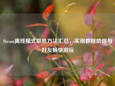 Steam离线模式联机方法汇总，实用教程助你与好友畅快游玩